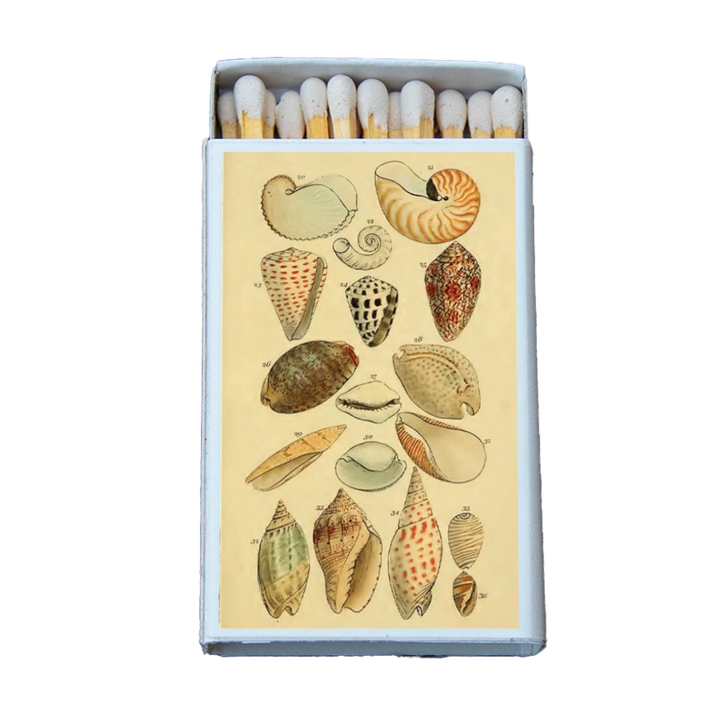 Seashell Matchbox