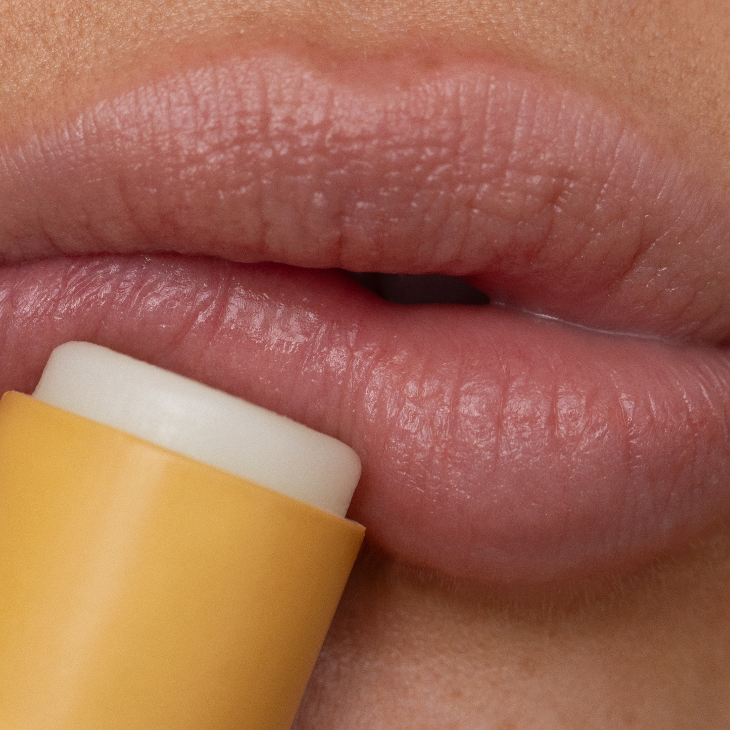 Poppy & Pout Lip Balm Lemon Bloom