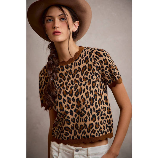 Spotted in the City Knit Top