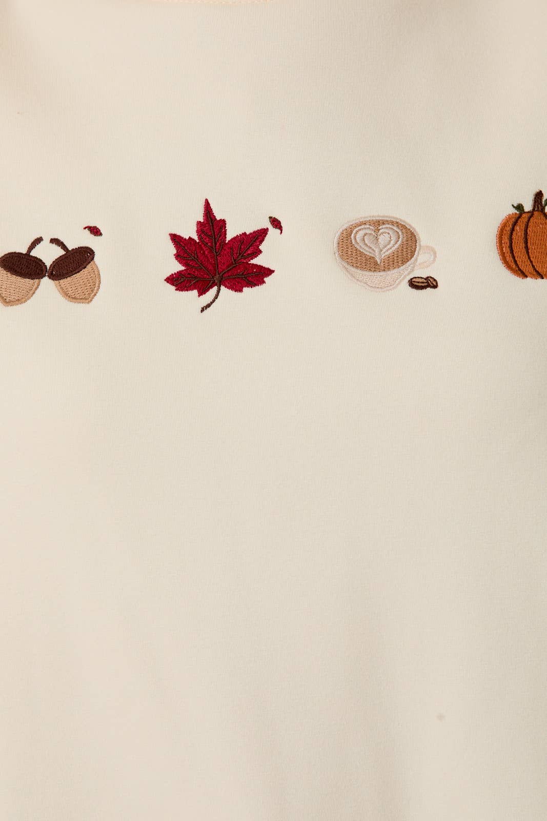 Fall Embroidery Sweatshirt
