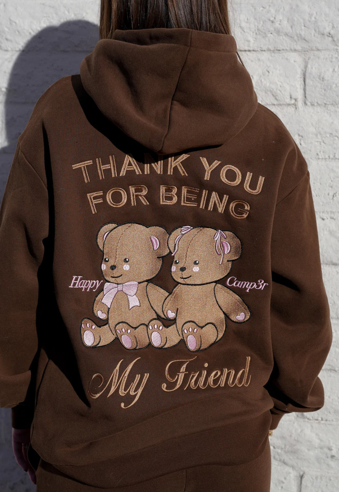 Thanks for being my Friend Teddy Bear Hoodie