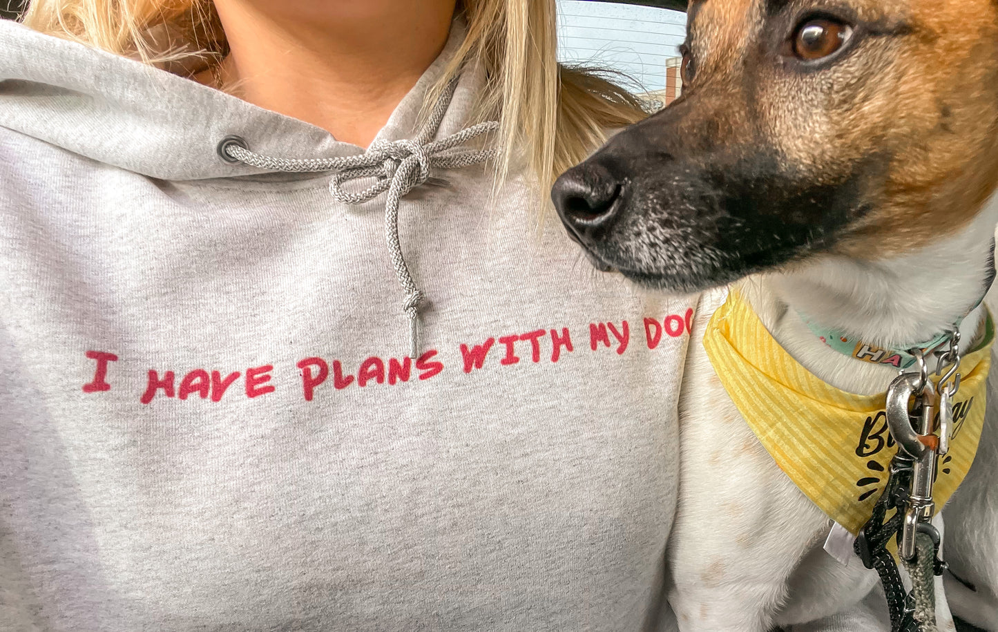 Plans with my dog hoodie