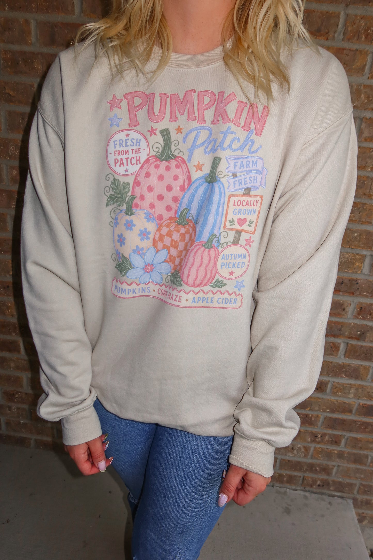 Pretty in Pink Pumpkin Patch Sweatshirt