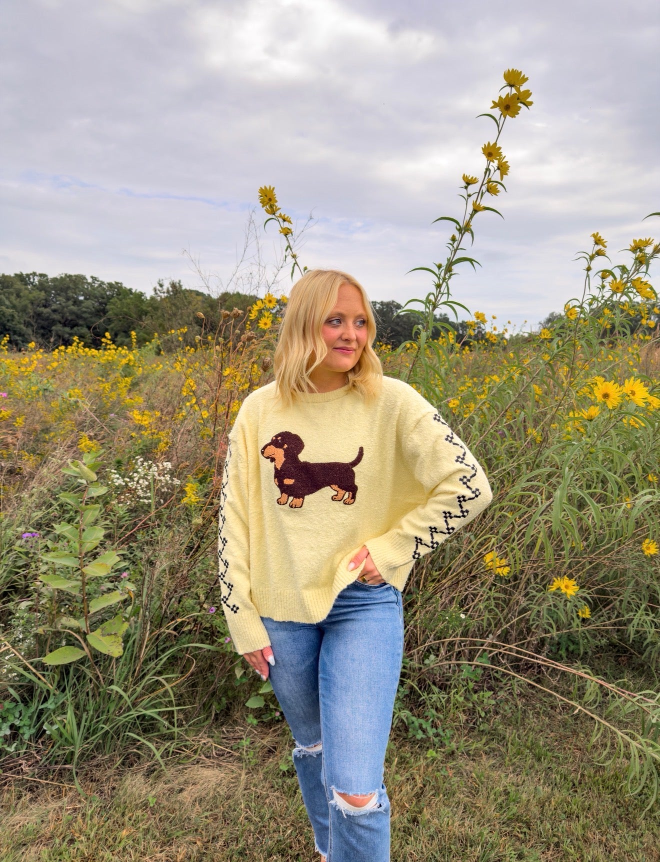 The Doxie Darling Sweater