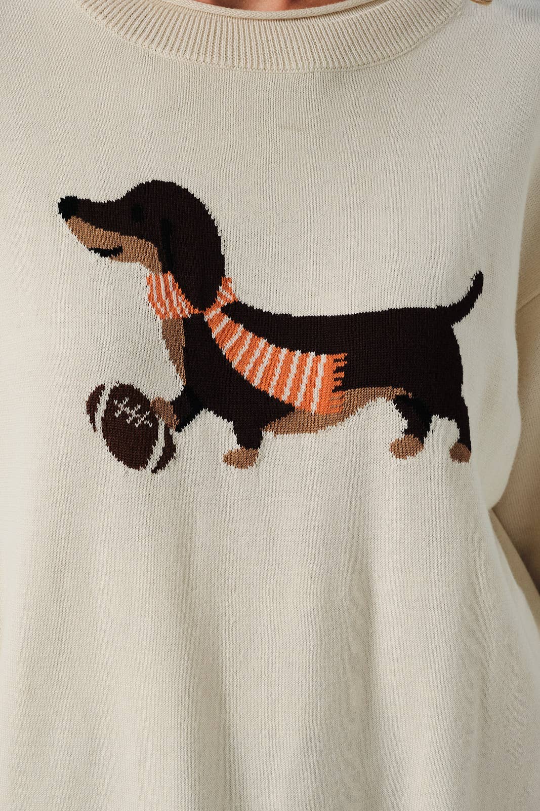 Touchdown Doxie Sweater